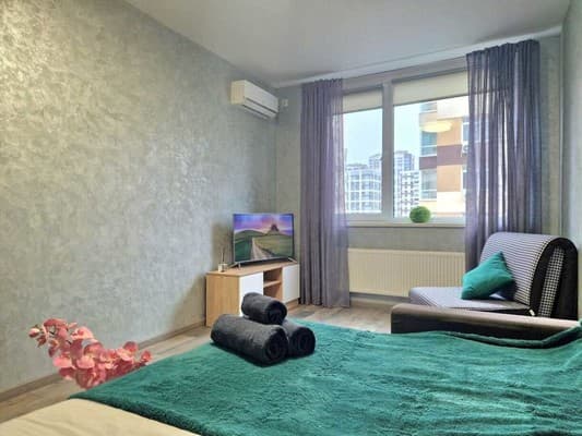 проспект Европейского Союза, 41 1